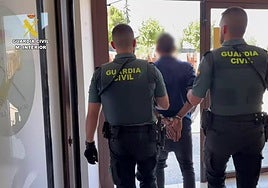 Detenido en Calahorra tras cometer 11 delitos en un mes después de salir de prisión