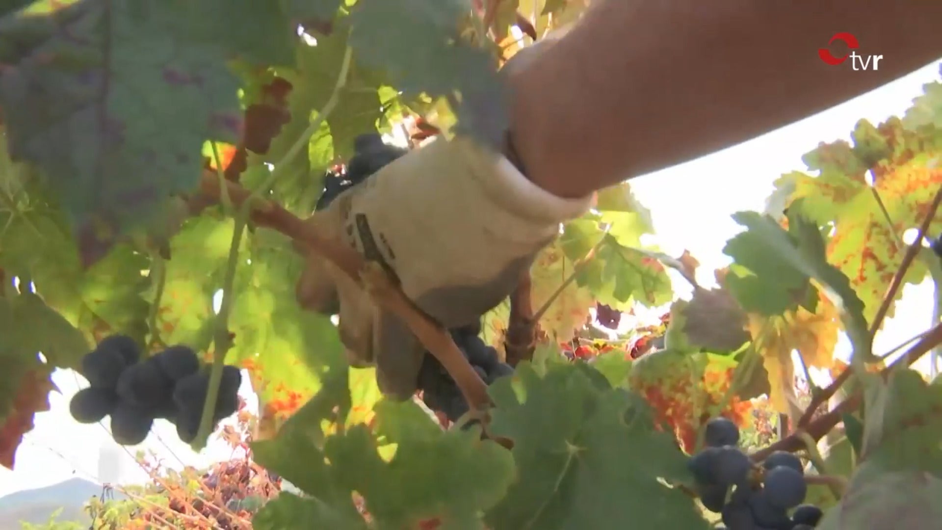 El paro sube en 295 personas en La Rioja en un octubre negativo