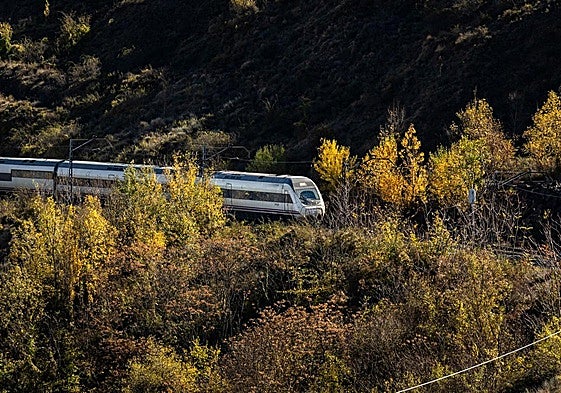 Las tres alternativas propuestas para el estudio de viabilidad