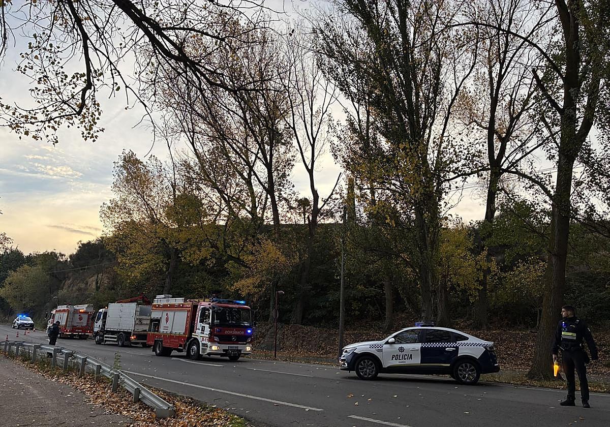 Caída de un árbol en la entrada de Fuente el Moro en Haro