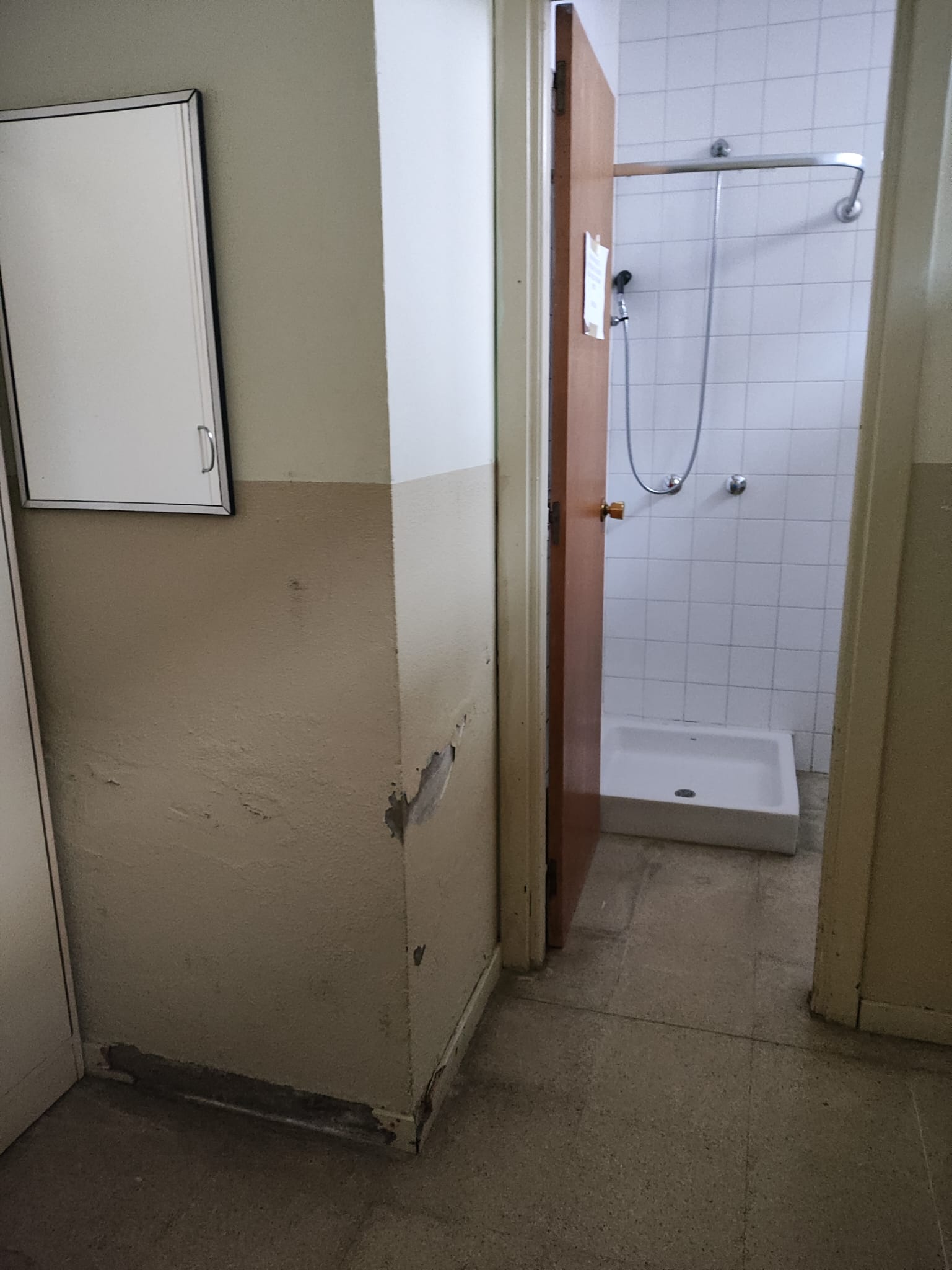 El mal estado del colegio Marqués de Vallejo