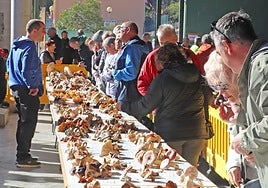 Una imagen de una edición anterior de las Jornadas Micológicas de Arnedillo.