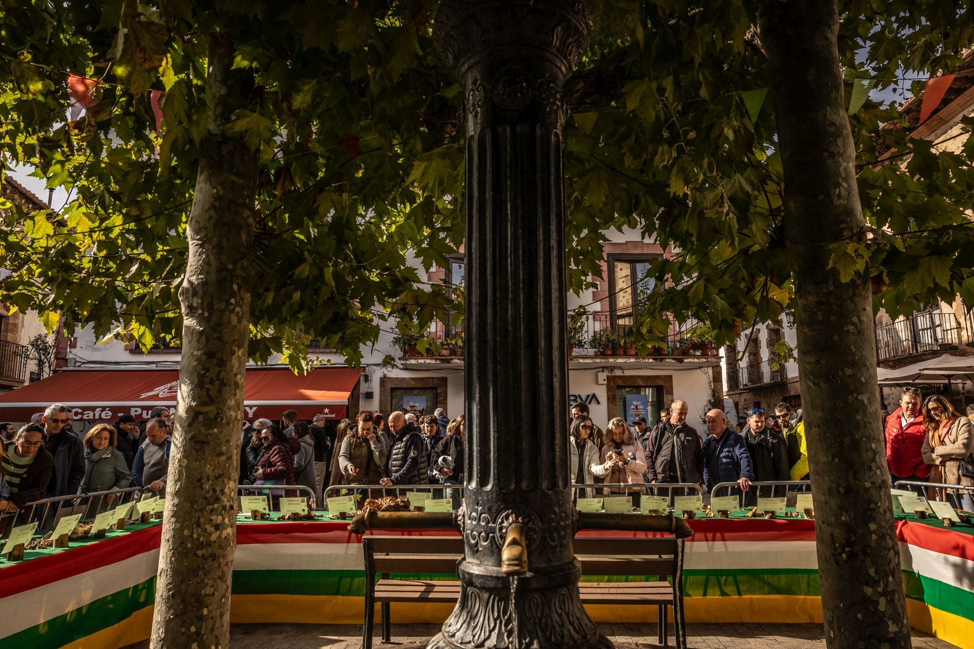 Las imágenes de las Jornadas Micológicas en La Rioja