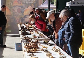 Jornadas Micológicas en Arnedillo