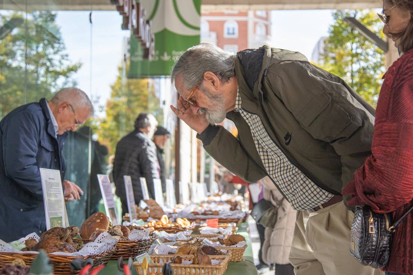 Las imágenes de las Jornadas Micológicas en La Rioja