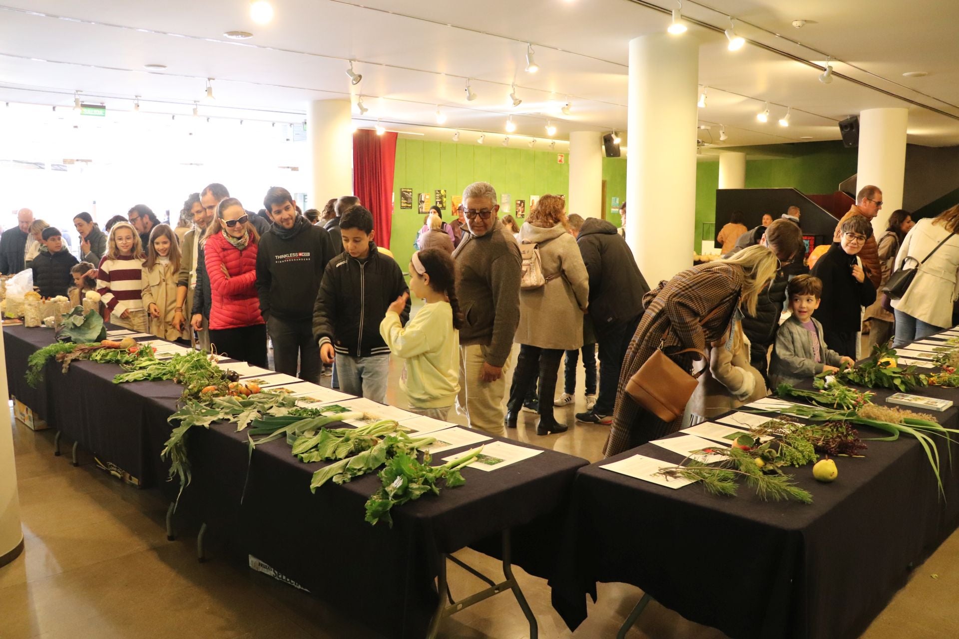 Las imágenes de la Semana de las Ciencias en Arnedo
