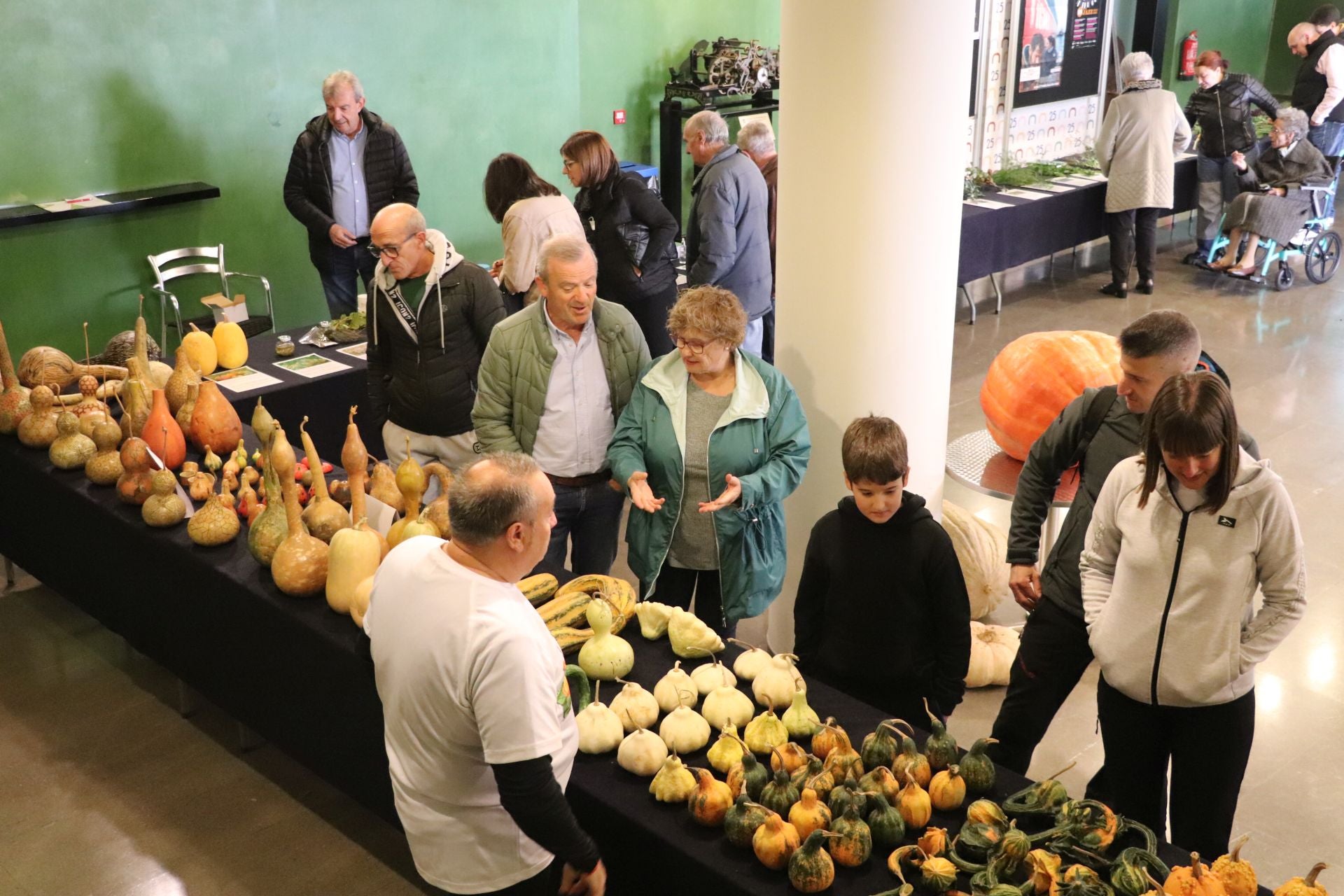 Las imágenes de la Semana de las Ciencias en Arnedo