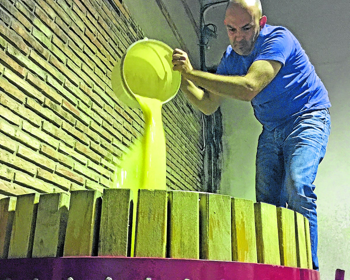 Alberto Pedrajo, trabajando con sus vinos en la bodega