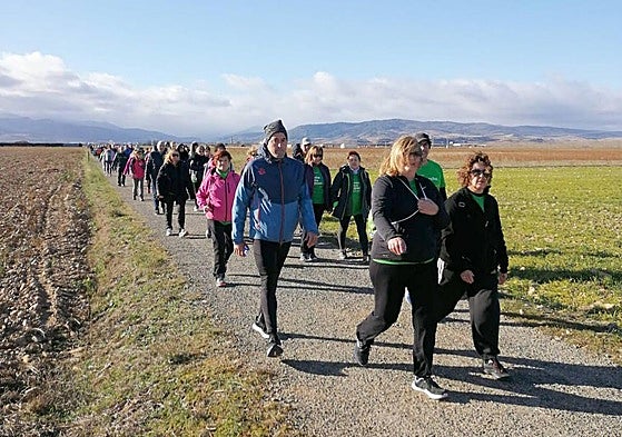 La nueva marcha solidaria de la AECC recorrerá Santo Domingo y Santurdejo
