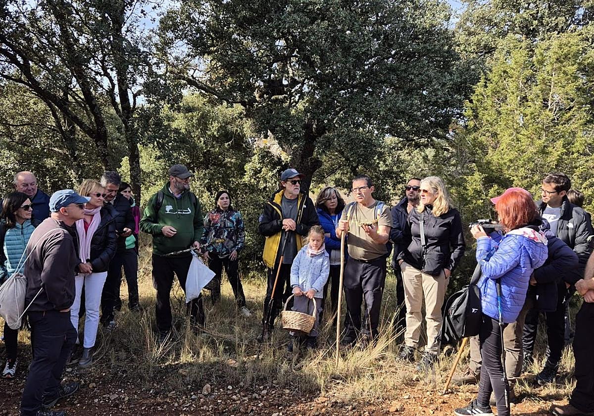 Villarroya compartió sus XXX Jornadas Micológicas
