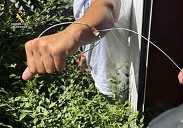 Investigado por colocar trampas de caza ilegales en una zona protegida de Albelda