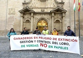 Protesta de ganaderos del Camero Viejo ante la situación del lobo: «Sigue matando a nuestros rebaños»