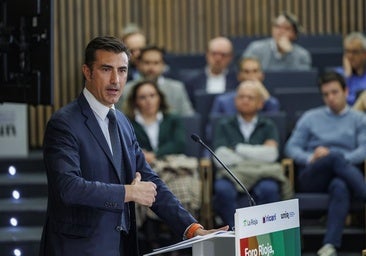 El modelo híbrido: 'family offices' y entidades financieras especializadas