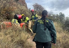 La mujer tuvo que ser atendida tras sufrir un accidente en Viguera.