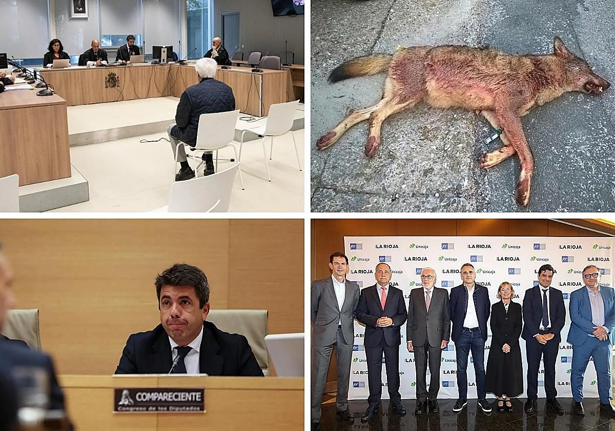 Las noticias imprescindibles