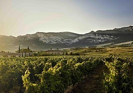 Imagen de una de las bodegas asociadas a ABC, con la Sierra de Cantabria al fondo