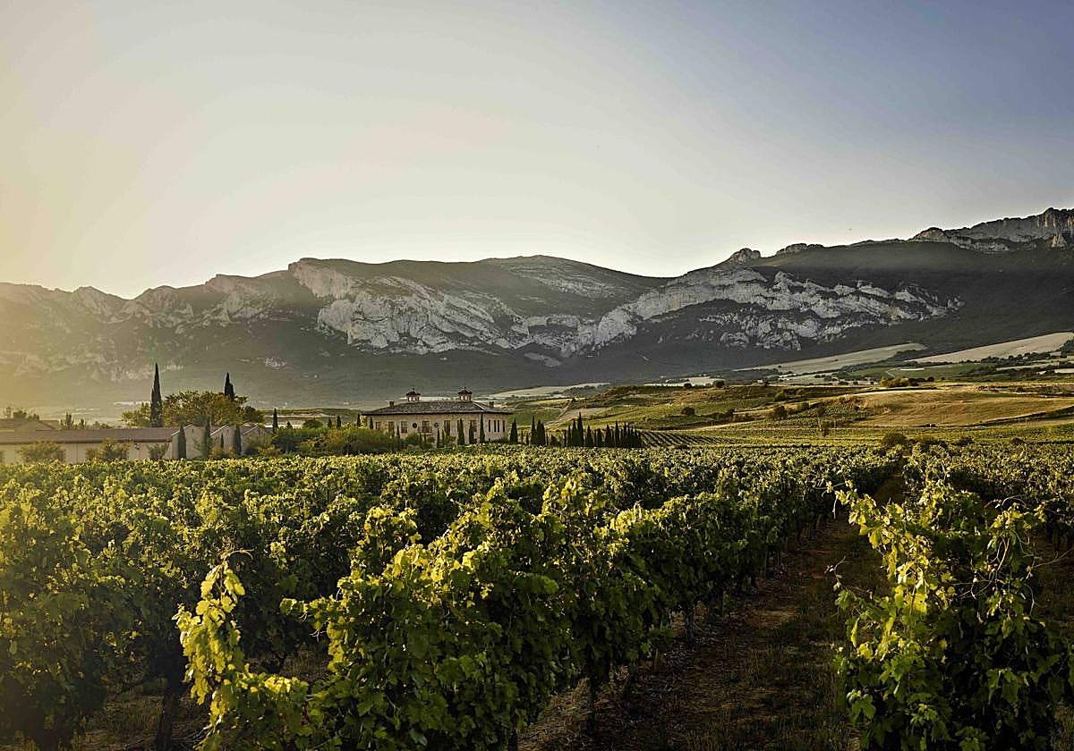 Imagen de una de las bodegas asociadas a ABC, con la Sierra de Cantabria al fondo