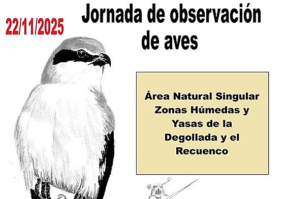 Cartel de la actividad.