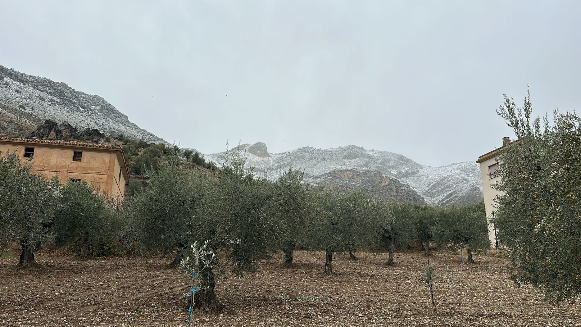 En Arnedillo y valle arriba, nieve en montes y tejados.