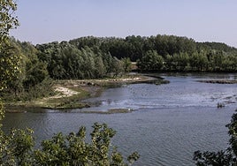 Vista de los Sotos de Alfaro.