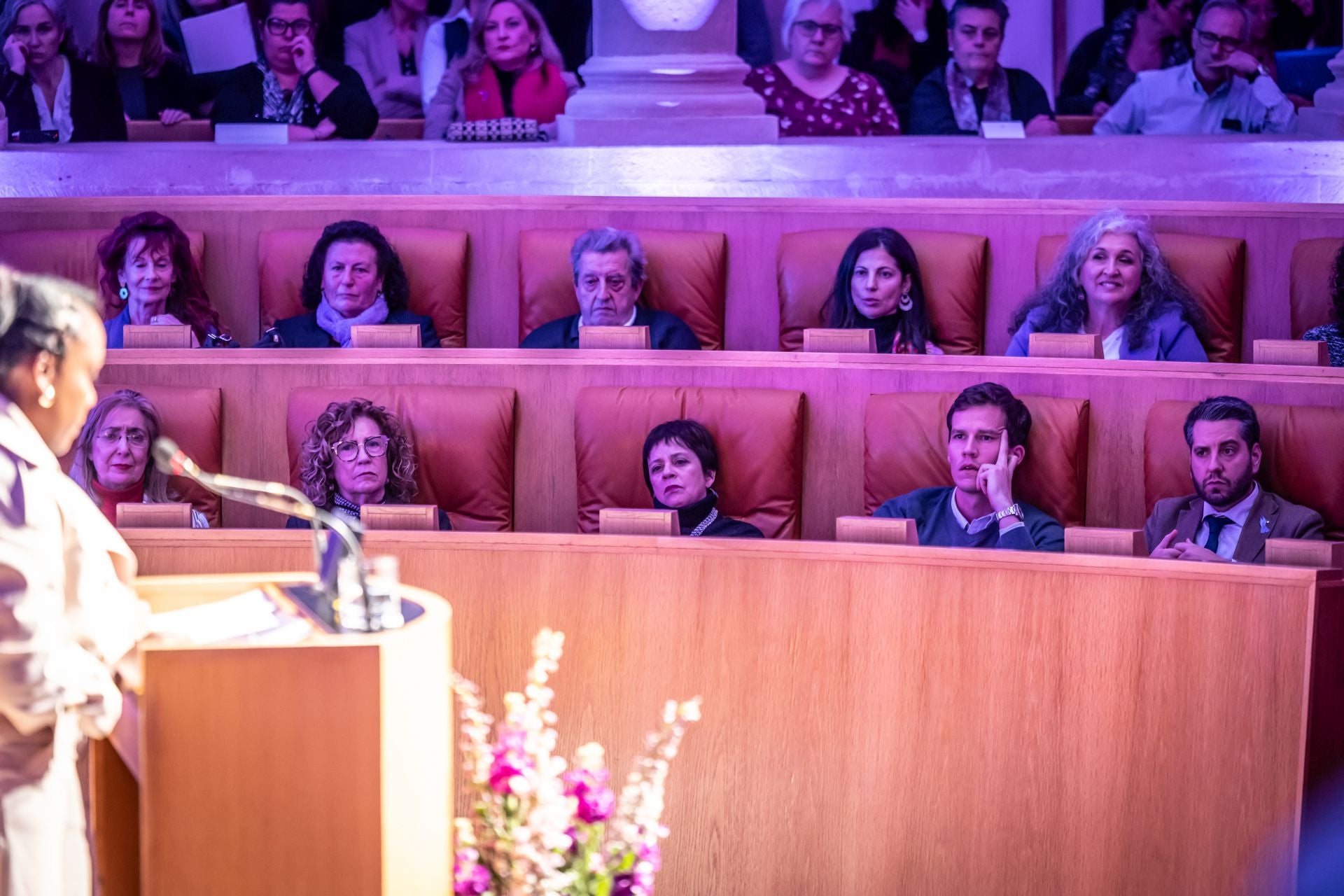 Acto institucional del Día Internacional de la Eliminación de la Violencia contra la Mujer