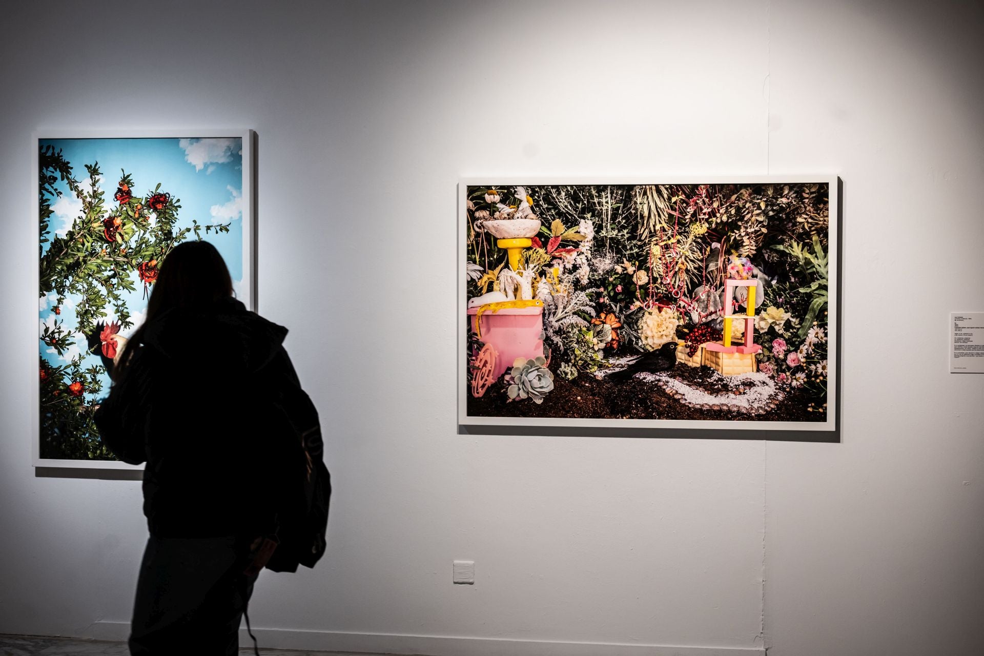 Las muestra de Arte Joven en La Rioja, en imágenes
