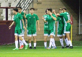 Los jugadores del Gernika celebran el gol que anotaron ante la Sociedad Deportiva Logroñés en Las Gaunas.