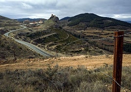 Terrenos de Clavijo en la zona que se acreditaba para seguir plantando.