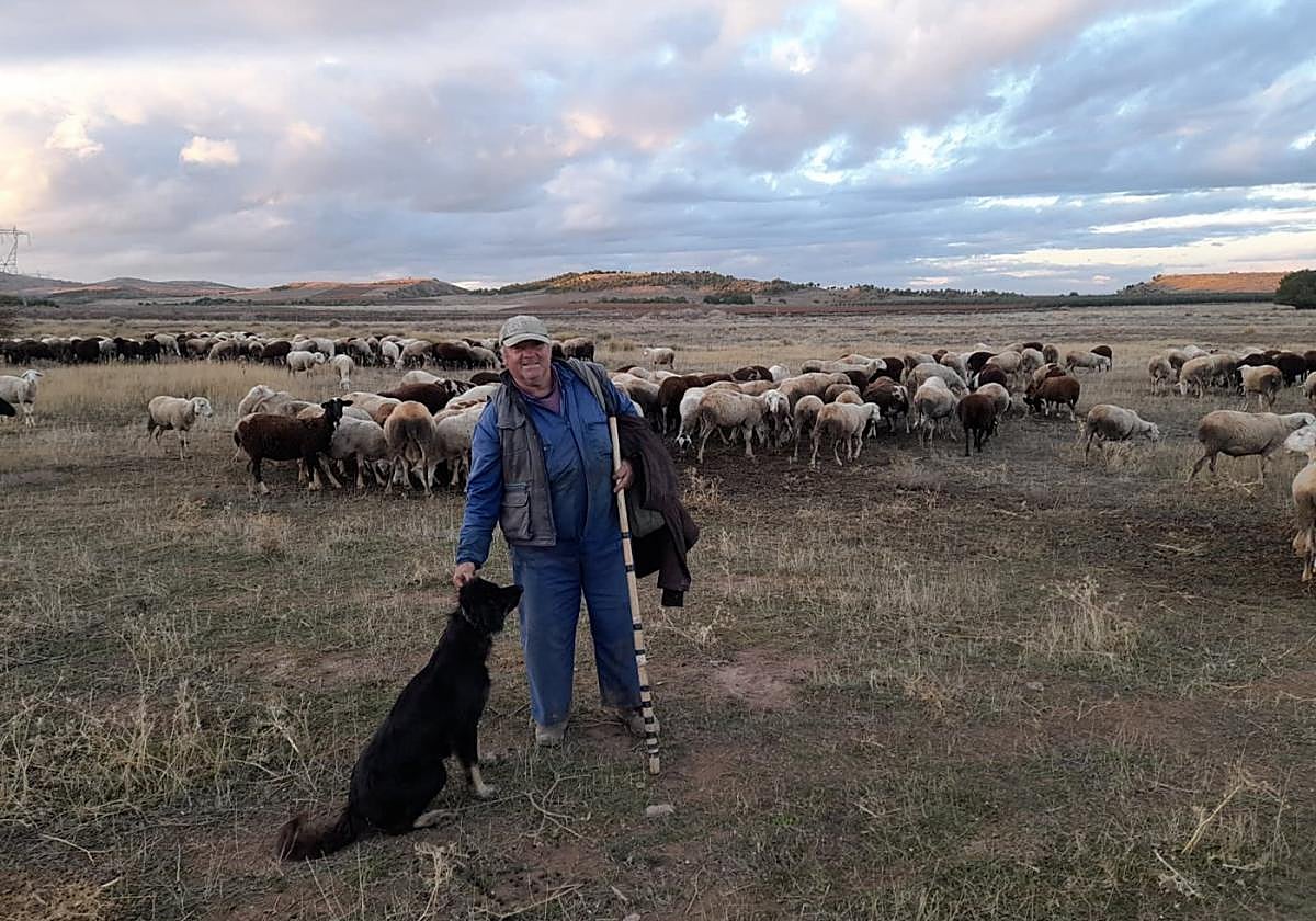 Jesús García Escudero 'Monín' con su ganado en Aldeanueva de Ebro.