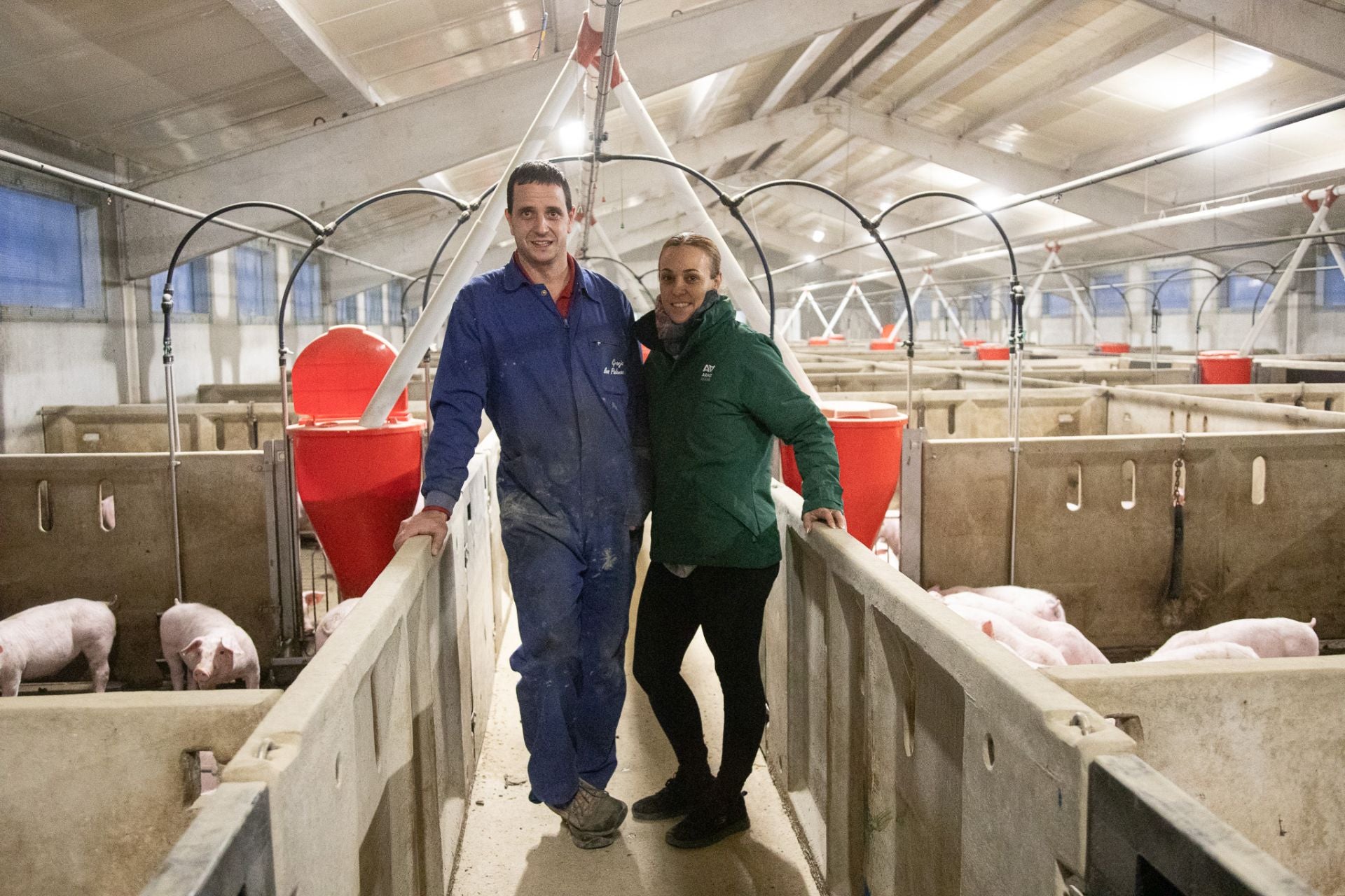 Las granjas porcinas de La Rioja extreman sus precauciones