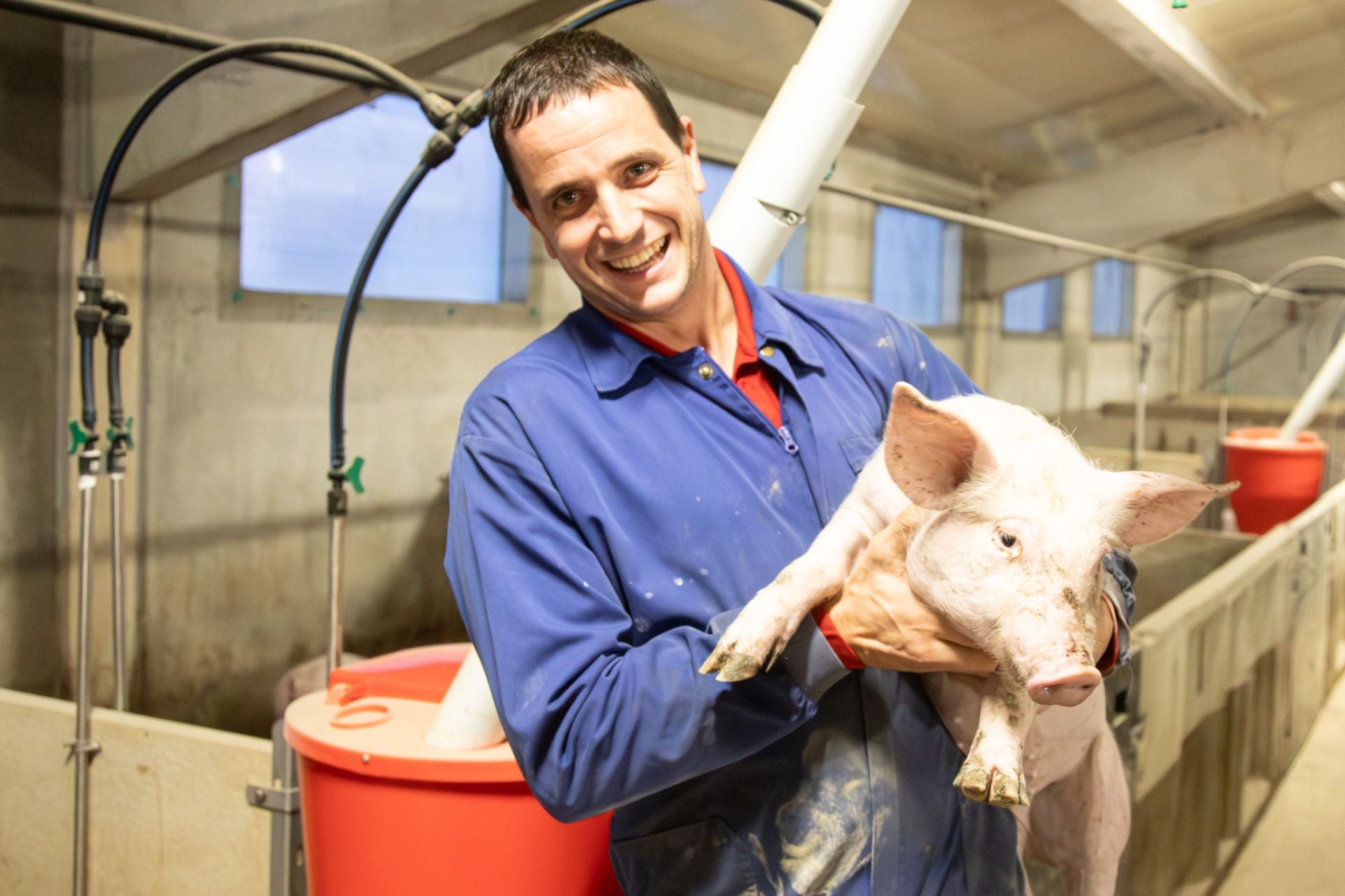 Las granjas porcinas de La Rioja extreman sus precauciones