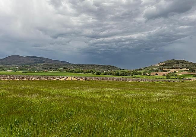 Zona en la que se ha proyectado la planta de biogás de Sorzano.