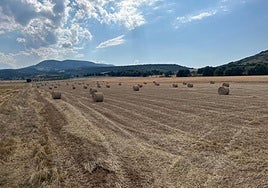 Paraje de Sorzano donde se ha proyectado una planta de biogás.