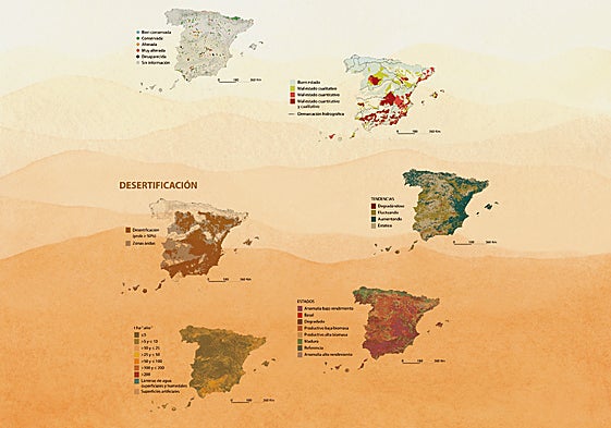 Una viña riojana equipada con un sistema de riego por goteo