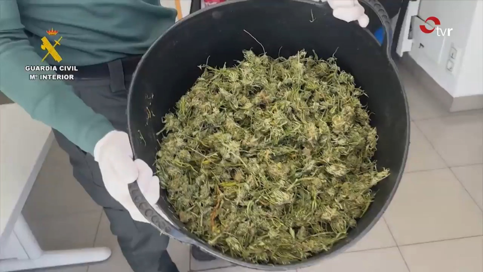 Dos agentes encuentran una plantación de marihuana por el fuerte olor