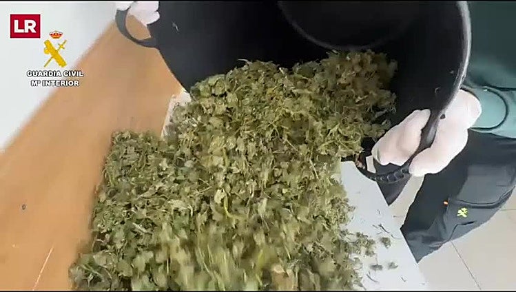 Intervenidos más de 1.200 gramos de marihuana