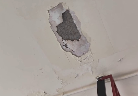 Goteras, moho, grietas… Así se encuentra el colegio Marqués de Vallejo