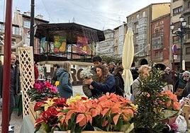 Las navideñas flores de Pascua se vendían en uno de los puestos.