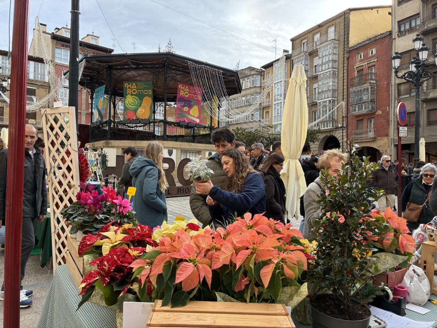 Las navideñas flores de Pascua se vendían en uno de los puestos.