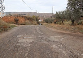 La mejora del camino que lleva al Trujal Cooperativa es uno de los puntos de la actuación