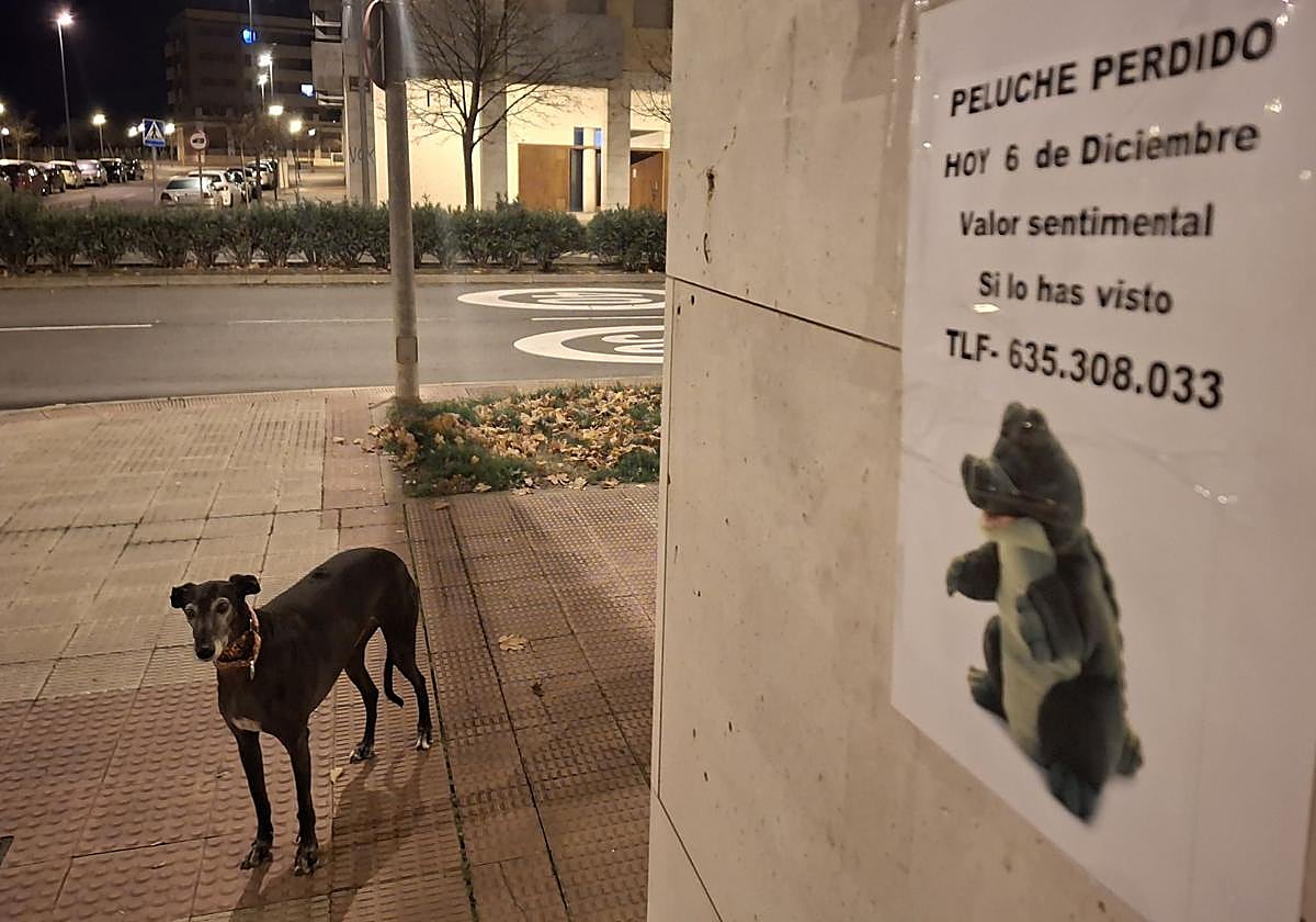 Cartel de búsqueda del peluche perdido en el barrio Los Lirios de Logroño.
