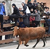 Encierro de las fiestas de invierno de 2025 en Aldeanueva.