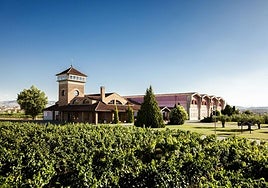 El caminante pasa por delante de Viña Ijalba antes de acceder a la capital riojana.