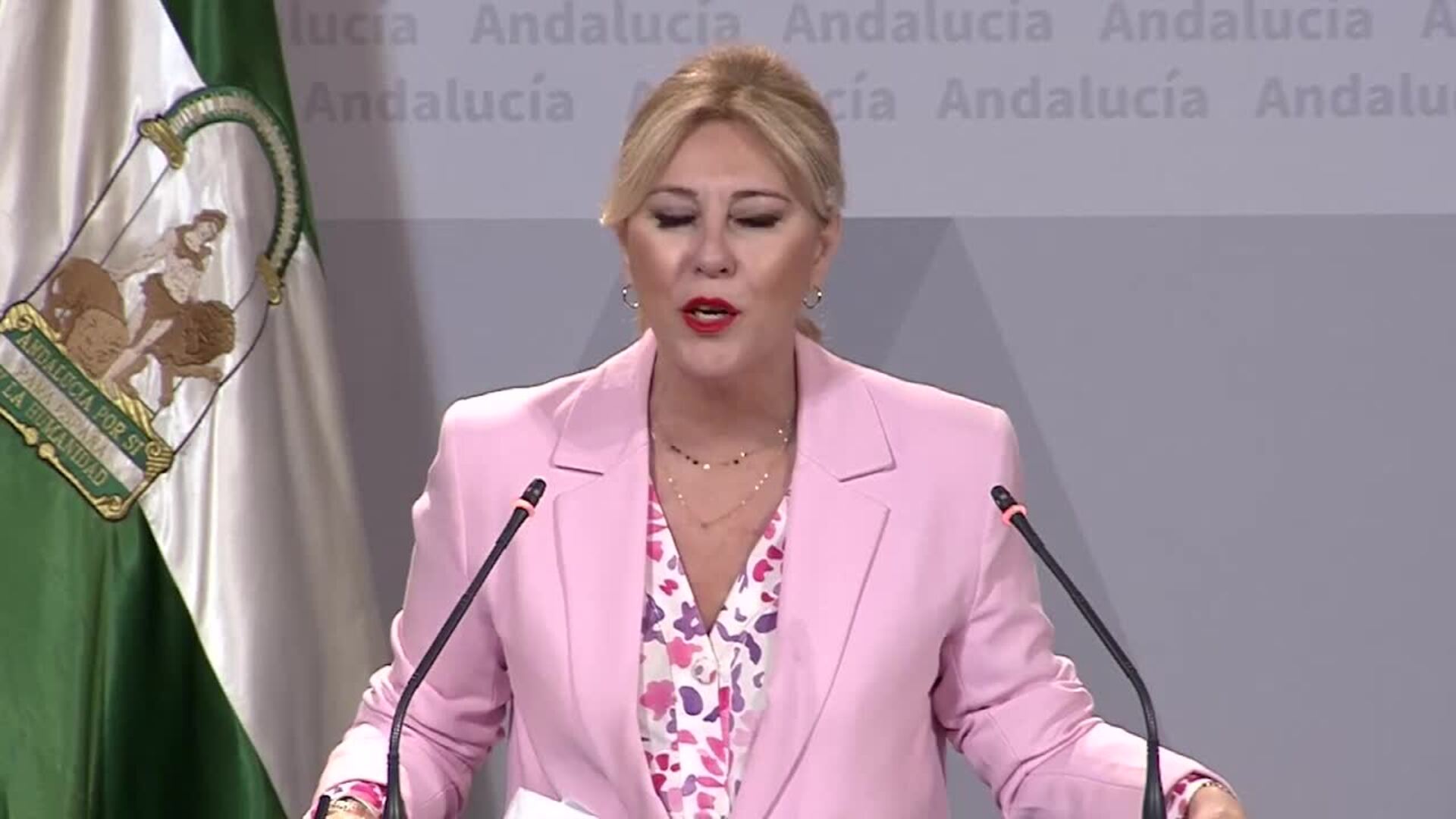 Andalucía recurrirá al TC reparto de menores migrantes ante omisión de criterios del Gobierno
