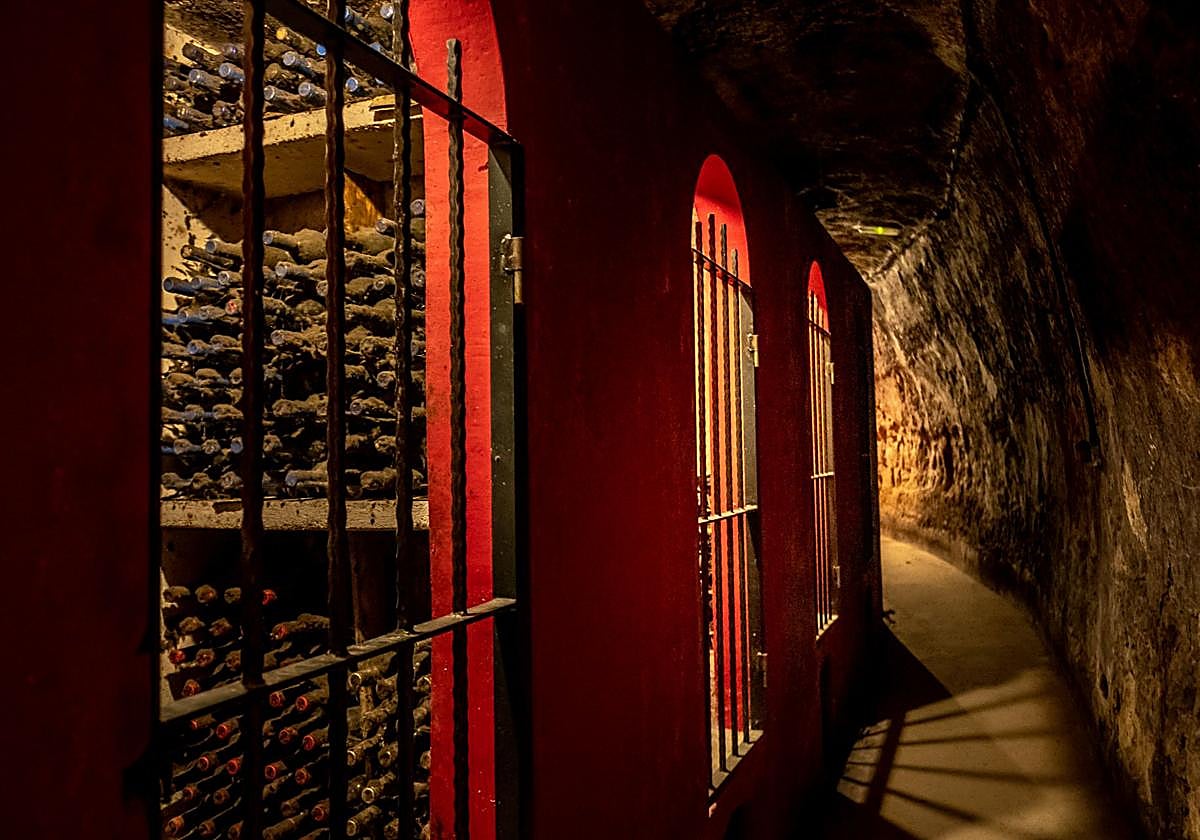 Enoturismo. Más allá de la copa y el vino
