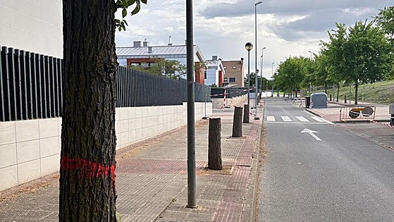 IU critica la tala de 34 árboles en el barrio de Entre Ríos de Lardero como «falta de sensibilidad ambiental»