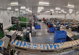 Planta riojana de producción de champiñón