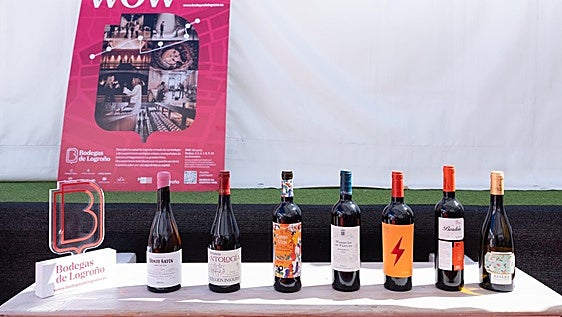 El Rioja a través de siete bodegas