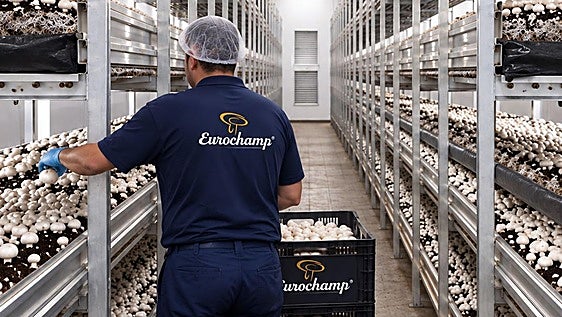 En Eurochamp cuidan al detalle todo el proceso industrial