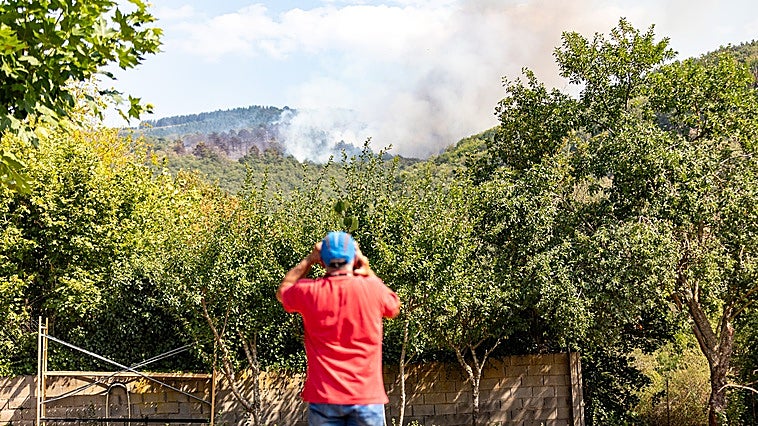 Extinguido el incendio de Ojacastro en el que se han quemado 11,5 hectáreas de arbolado